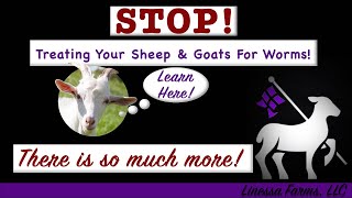 Stop Worming Your Sheep and Goats Start Treating Sheep and Goats for Parasites [upl. by Claretta]