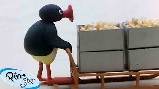 Pingus Big Adventures 🐧  Pingu  Official Channel  Cartoons For Kids [upl. by Phalan]