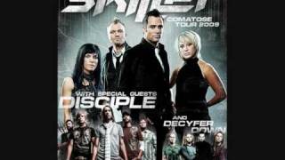 Skillet  Take [upl. by Linette]