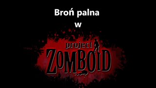 Broń palna w project zomboid [upl. by Cissie]