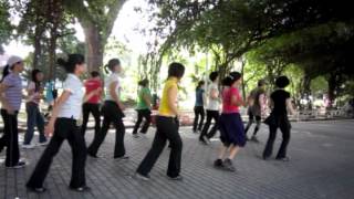 Wobble  Line Dance VIC Brentnell Jan 192011 [upl. by Adaner]