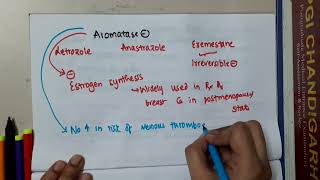 aromatase inhibitors mp4 2  Pharmacology [upl. by Andromache971]