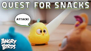 Angry Birds Mischief  Quest for Snacks [upl. by Tyre]