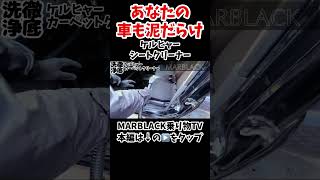 【ケルヒャー使い方】車のシートをプロ並みにキレイにする方法 [upl. by Shepard]