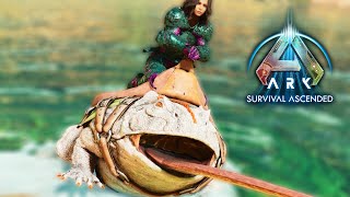 I TAMED A BEELZEBUFO BUT LOST A MY SSD  THE ISLAND ARK SURVIVAL ASCENDED EP 12 [upl. by Aiseneg]