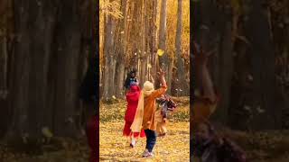 Autumn start in Hunza valleymountainvillagebeautynaturevillageloveroriginalvideo [upl. by Emiaj]