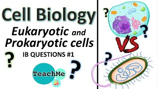 12  IB QUESTIONS 1  Ultrastructure Of Cells  IB Biology  TeachMe [upl. by Summer]