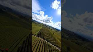 Barolo hills 📽 Marco Cane fpv drone fpvdrone fpvflying fpvfreestyle fpvlife fpvracing epic [upl. by Suiramad15]