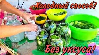 ХОЛОДНЫЙ СПОСОБ Без уксуса и кипячения Как КВАШЕННЫЕ БОЧКОВЫЕ самые хрустящие огурцы на зиму [upl. by Nich]