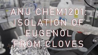 ANU CHEM1201 Experiment 5 Isolation of eugenol from cloves [upl. by Itsirc]