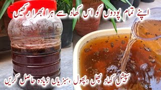 How to Make Organic Fertilizer for All Plants Special Cheap Fertilizer for Healthy Flowers amp Fruits [upl. by Mir]