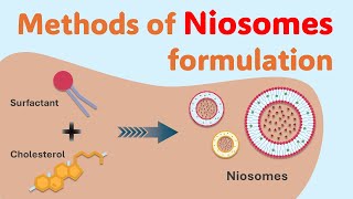 Mastering Niosomes Preparation Techniques  Methods of Niosomes preparation  Niosomes synthesis [upl. by Etteuqram660]