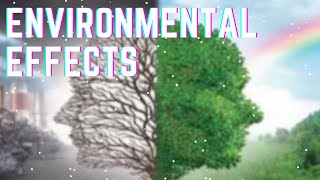 Environmental Hazards  HD Documentary [upl. by Esinej834]