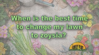 When is the best time to change my lawn to zoysia [upl. by Alena]