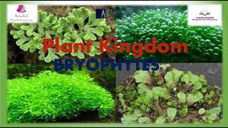 Topic Wise Video BRYOPHYTESquotPLANT KINGDOM11th biology videolecturenotes [upl. by Peltier]