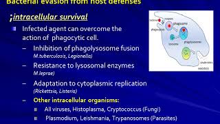 Microbial Pathogenicity Infection 2 [upl. by Endys]