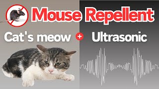 Mouse Repellent Noise  Cats meows and ultrasonic sounds make mice flee from your home [upl. by Ardnuas]