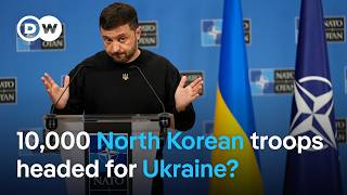 Zelenskyy North Korean troop support for Russia could spark world war  DW News [upl. by Assirehs]