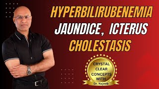 Jaundice vs Hyperbilirubinemia vs Icterus vs Cholestasis 🩺 [upl. by Altman]