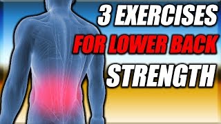 3 Exercises To Strengthen Your Lower Back [upl. by Nebur]