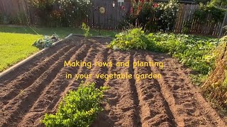 Vegetable garden organization creating rows and planting [upl. by Tessi806]