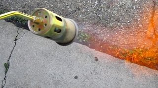 Quick amp Easy Way To Eliminate Unwanted Weeds Using A Propane Torch [upl. by Zoe]