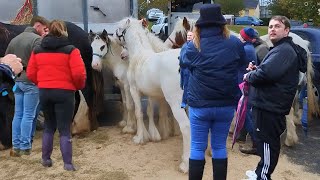 Enter at your own Risk Ballinasloe Horse Fair [upl. by Hertha625]