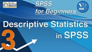 03 Descriptive Statistics and z Scores in SPSS – SPSS for Beginners [upl. by Nednal281]