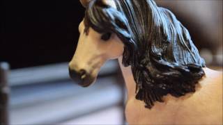 Theres a New Horse at Silver Star Stables  Short Schleich film [upl. by Xerxes730]