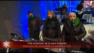 Timoteij amp Lotta Engberg  Julmedley Live  Jullotta På Liseberg 2011 [upl. by Buckingham]