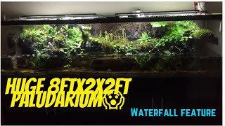 Big paludarium 8ftx2x2 with golden cobra snakehead fish waterfall fish tank [upl. by Clea5]