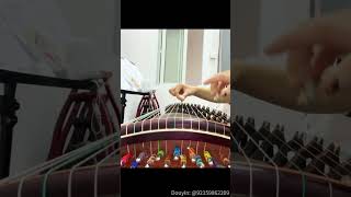 Traditional Chinese instrument guzheng performance 🎵：壁上观 [upl. by Encrata]