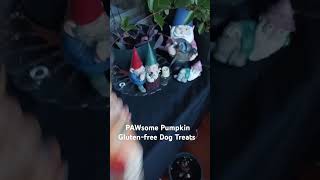 🐾PAWsome🎃Pumpkin🐕‍🦺Dog Treats🐕Gluten Free🌾dog dogshorts doglover dogtreats pets glutenfree [upl. by Airolg37]