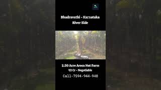 250 Acre Areca Nut Farm River Side For Sale Bhadravathi Karnataka agrifarm arecafarm agriculture [upl. by Yong]