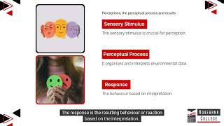 Describe Perceptions and the Perceptual Process and the Distortions as a Result LU3LO5 [upl. by Annair]