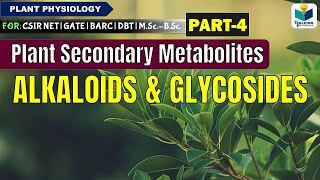 PLANTS SECONDARY METABOLITESPART4 ALKALOIDS AND GLYCOSIDES CSIR NET [upl. by Shakti]