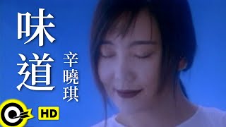 辛曉琪 Winnie Hsin【味道 Scent】Official Music Video [upl. by Deanna]