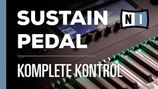 Sustain Pedal Setup  Komplete Kontrol [upl. by Negaet841]