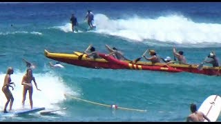 Waikiki Outrigger Regatta  Wahine Races [upl. by Baniez]