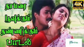 Pasumpon  Thamarai Poovukum Official Video Song  Vidyasagar [upl. by Windham]