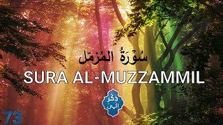 073  SURA AL MUZZAMMIL By Shiekh AlHuzaifi  Peace Full Recitation [upl. by Nickie]