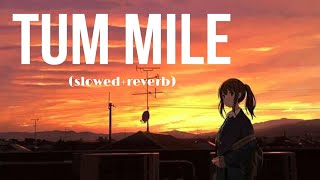 Tum Mile SlowedReverb  Javed Ali Aesthetic7484 [upl. by Keverne645]