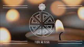 Tebra  Dusha Original Mix Ritual Records [upl. by Klarrisa207]