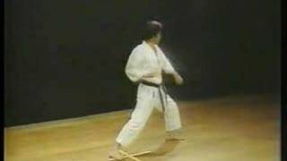 Heian Shodan  Shotokan Karate [upl. by Tletski]