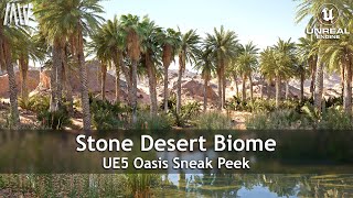 Unreal Engine 5  MAWI  Realistic Stone Desert Oasis unrealengine UE5 gamedev [upl. by Nations]