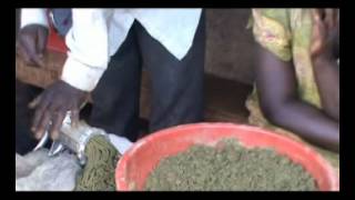 LOCAL FISH FEED FORMULATION  Pelletizing and drying [upl. by Ylenats]