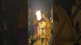 Diagon Alley dragon fun happy love videos video harrypotter universalstudios [upl. by Garrick]