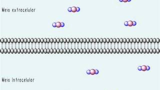 A membrana plasmática  Parte 2 Transporte pela membrana Difusão simples e facilitada [upl. by Anicul]