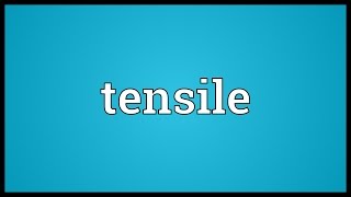 Tensile Meaning [upl. by Litnahc]