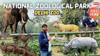 Delhi Zoo Full Tour amp Guide  National Zoological Park Delhi  Delhis Chidiya Ghar  VlogsWithSans [upl. by Alaj]